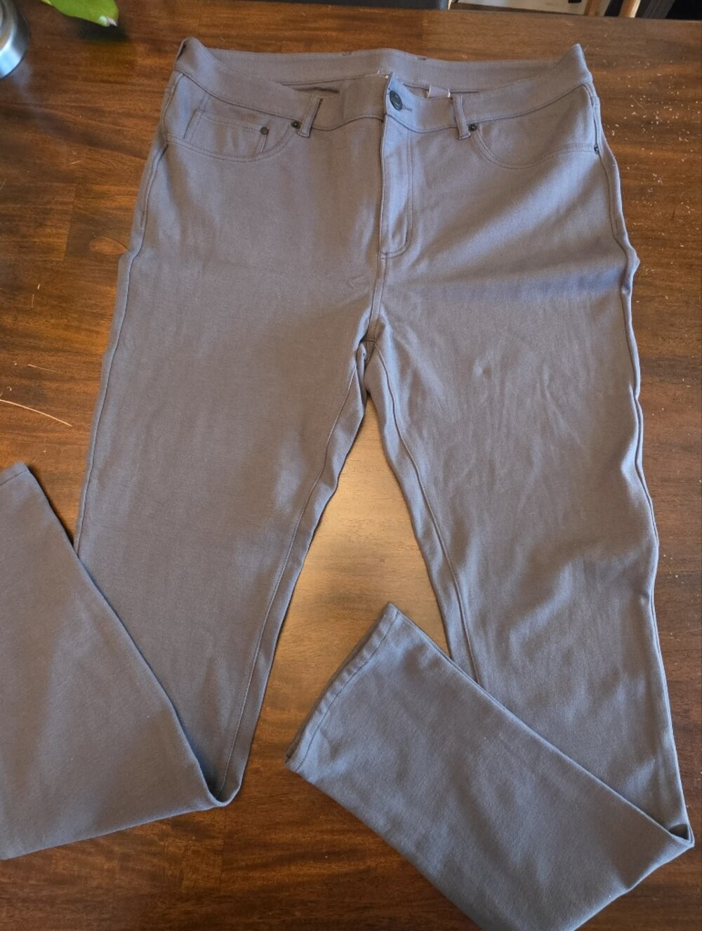 Eddie Bauer Horizon Guide Pants Gray Stretch Hiking Travel size 16T